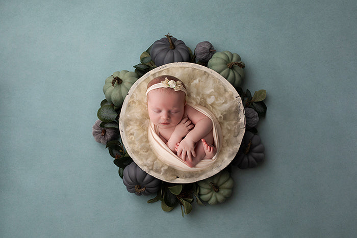 Autumn is Here | Newborn Digital - HSD Photography Backdrops 