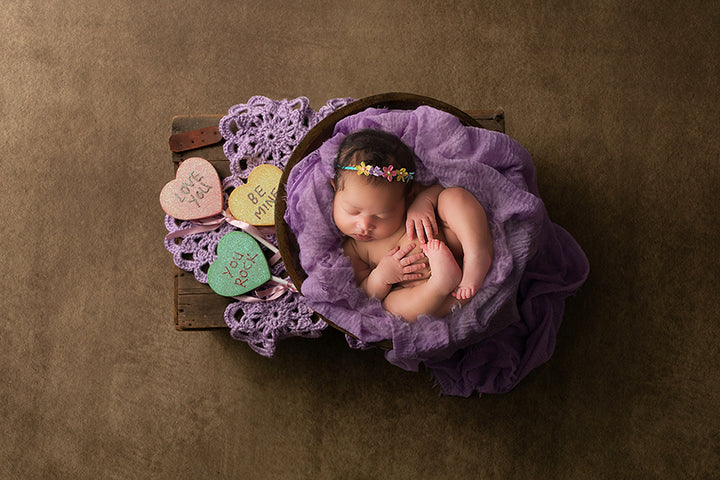Newborn Digital Backdrop | Be Mine Valentine - HSD Photography Backdrops 