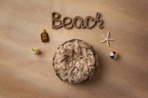 Beach Basket | Beach Day Coll. | Digital - HSD Photography Backdrops 