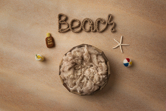Beach Day Collection | Digital - HSD Photography Backdrops 