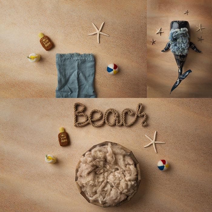 Beach Day Collection | Digital - HSD Photography Backdrops 