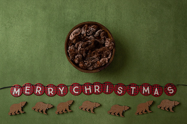 Beary Christmas | Deck the Halls Coll. | Digital - HSD Photography Backdrops 