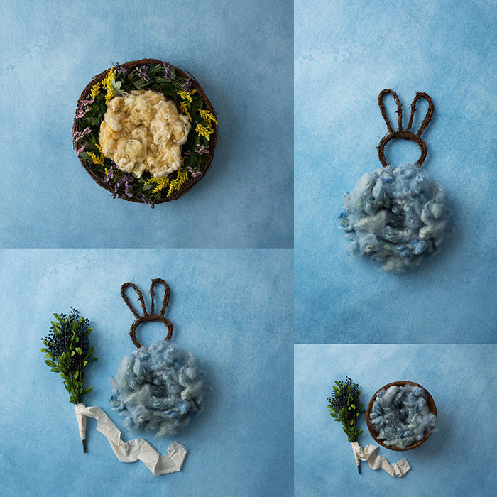 Bunny Love Collection | Digital - HSD Photography Backdrops 