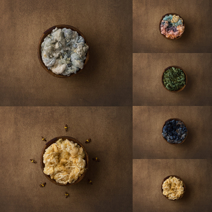 Buzz Worthy Collection | Digital - HSD Photography Backdrops 