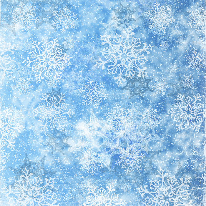 Frozen Winter - HSD Photography Backdrops 