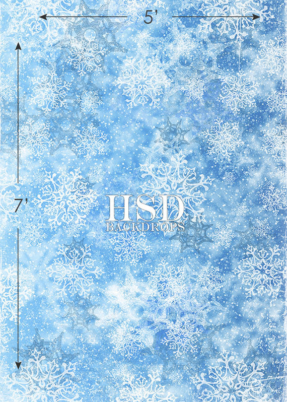 Frozen Winter - HSD Photography Backdrops 