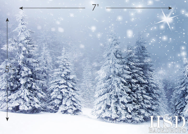 Winter Fir Trees - HSD Photography Backdrops 