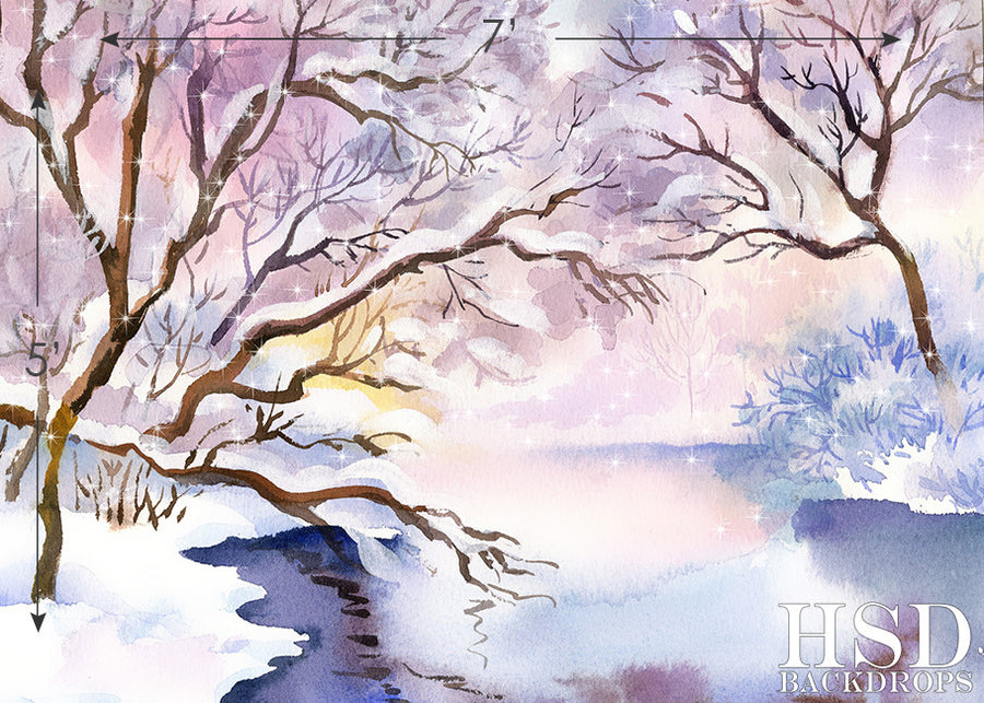 Winter Scene - HSD Photography Backdrops 