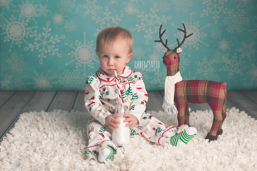 Jack Frost - HSD Photography Backdrops 
