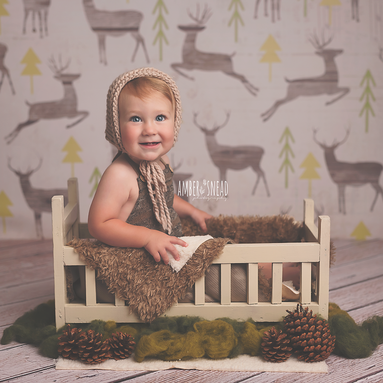 Reindeer Games - HSD Photography Backdrops 