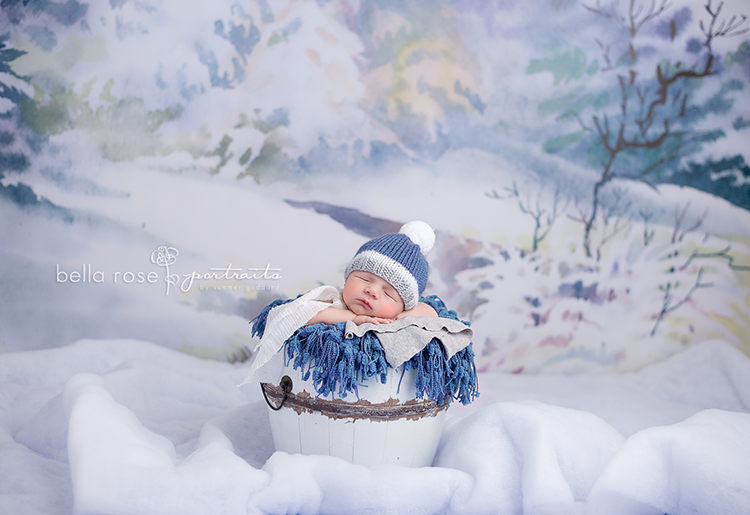 Winter Wonderland - HSD Photography Backdrops 