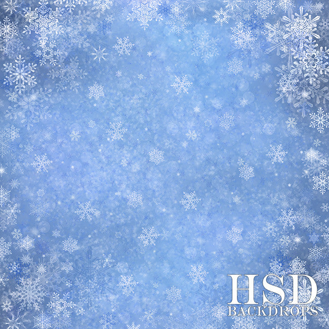 Winter | Baby it's Cold Outside - HSD Photography Backdrops 