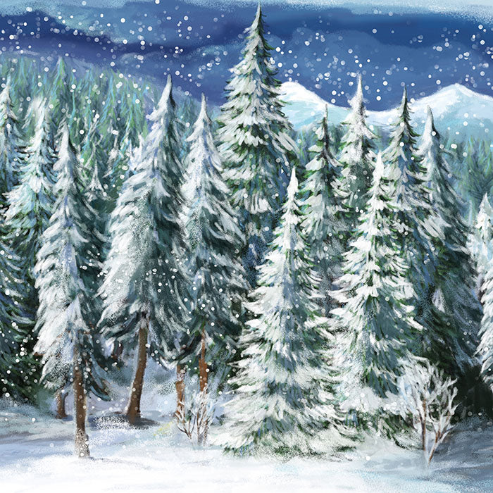 WINTER WOODS - HSD Photography Backdrops 