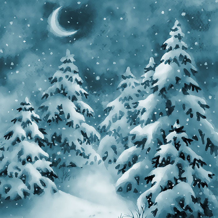 Winter | Frosty Fir Trees - HSD Photography Backdrops 