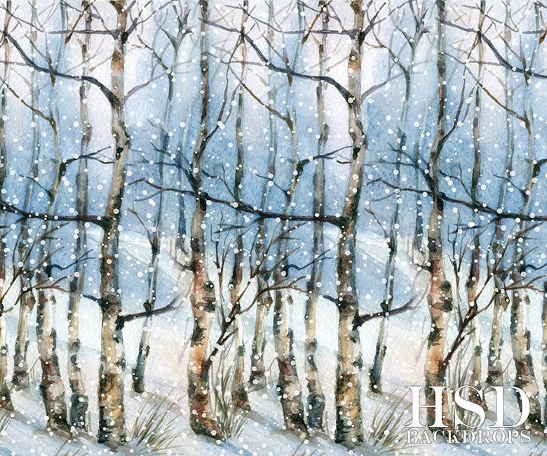 Winter | Winter Landscape - HSD Photography Backdrops 