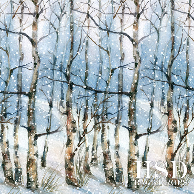 Winter | Winter Landscape - HSD Photography Backdrops 