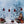 Holiday | Winter Fir Trees Set Up - HSD Photography Backdrops 