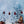Holiday | Winter Fir Trees Set Up - HSD Photography Backdrops 