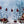 Holiday | Winter Fir Trees Set Up - HSD Photography Backdrops 