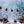 Holiday | Winter Fir Trees Set Up - HSD Photography Backdrops 