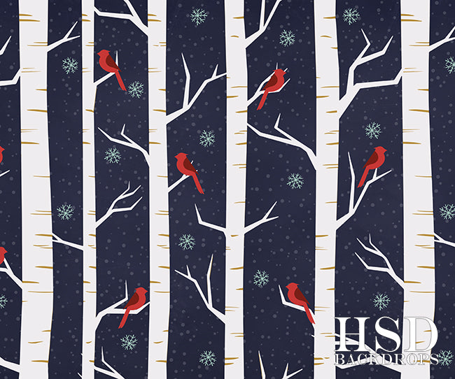 Christmas | Winter Birch Trees - HSD Photography Backdrops 