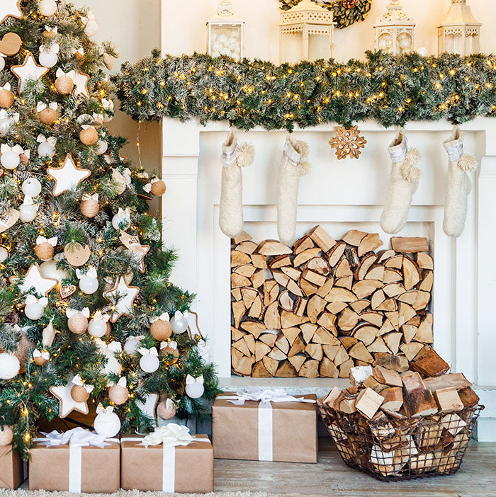 Rustic Chic Christmas - HSD Photography Backdrops 