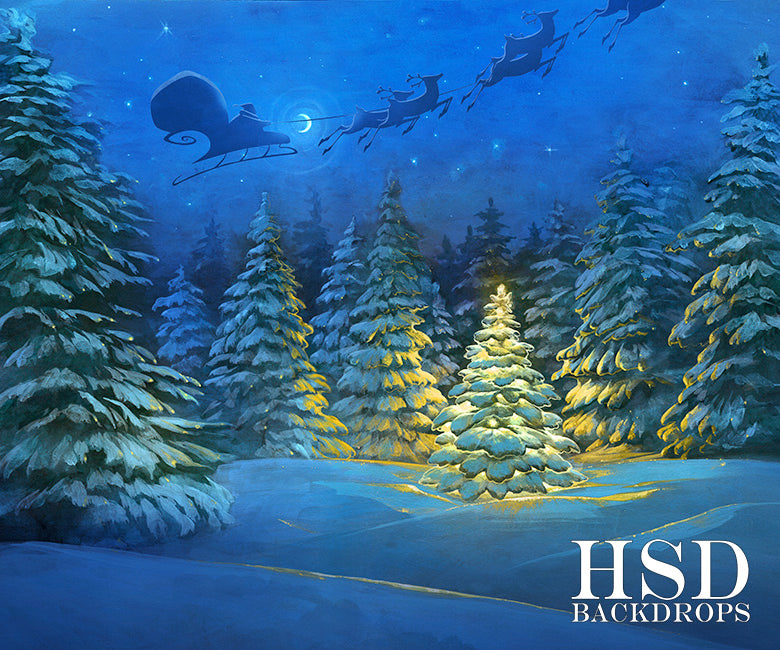 Sleigh Ride - HSD Photography Backdrops 