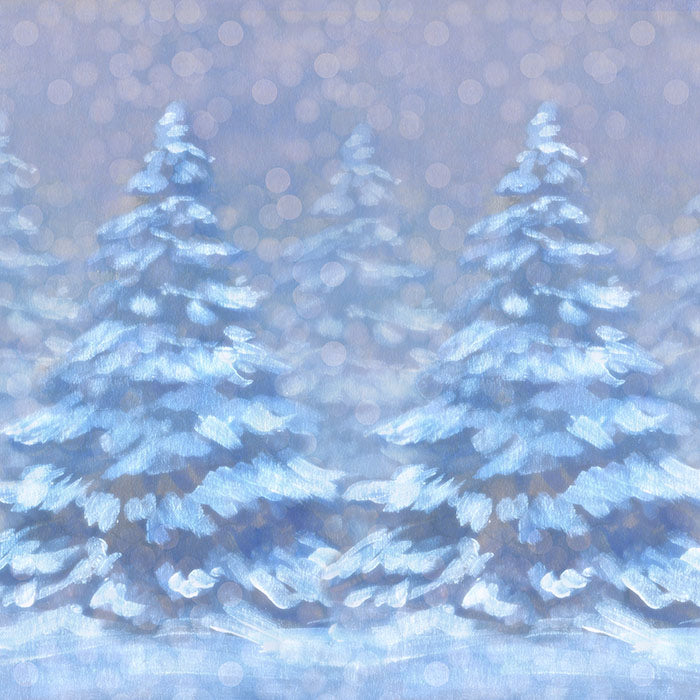Dreaming of a White Christmas - HSD Photography Backdrops 