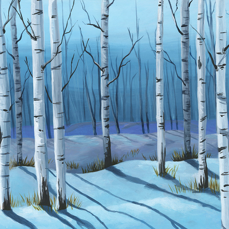Winter Birch Trees - HSD Photography Backdrops 