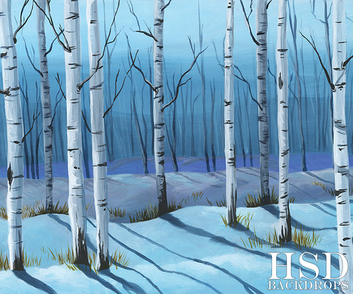 Winter Birch Trees - HSD Photography Backdrops 