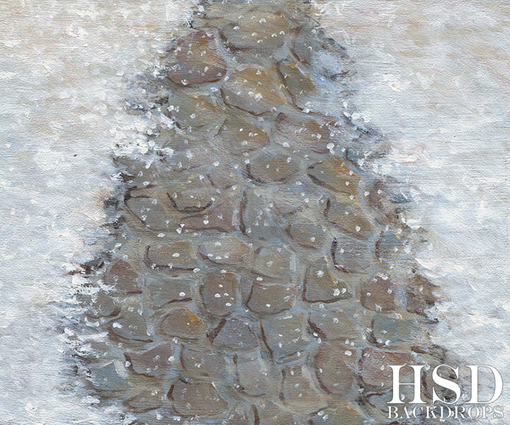 Winter Stone Floor - HSD Photography Backdrops 