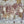 Sugar Plum Princess Christmas Prop Set Up - HSD Photography Backdrops 
