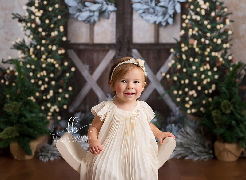 Rustic Christmas - HSD Photography Backdrops 