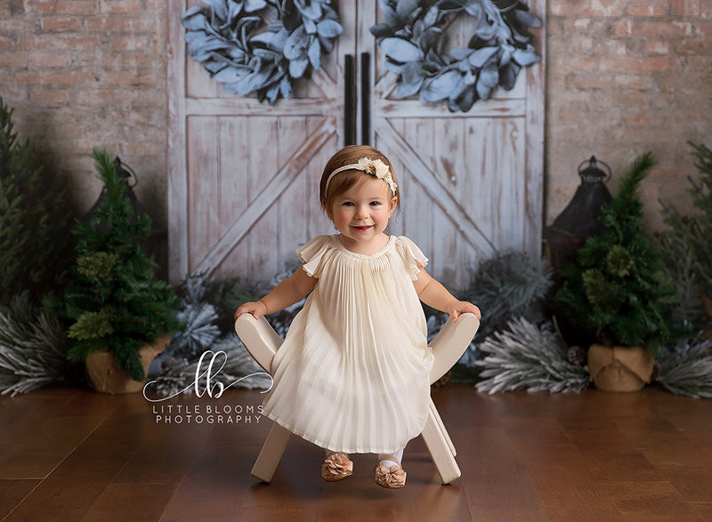 Winter Green Christmas Prop Set Up - HSD Photography Backdrops 