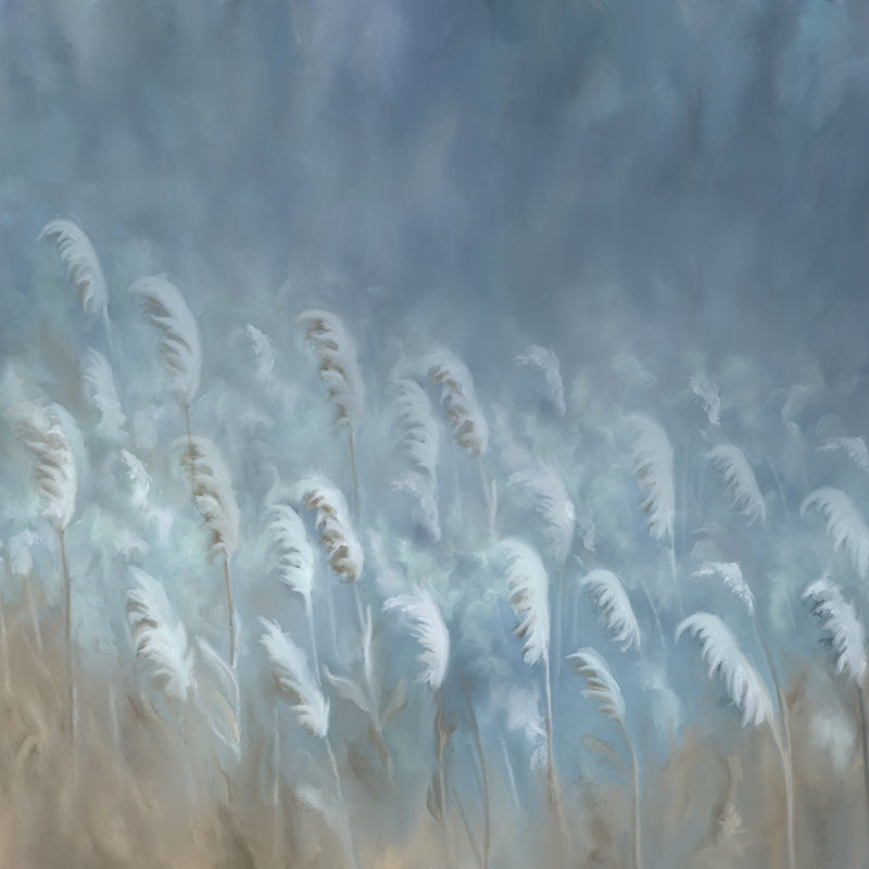 Frosty Winter Winds - HSD Photography Backdrops 
