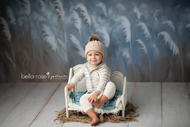 Frosty Winter Winds - HSD Photography Backdrops 