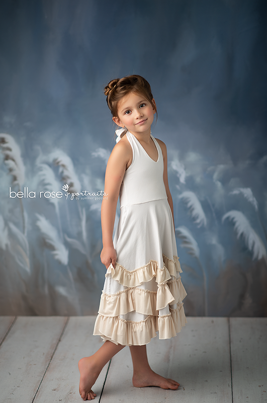 Frosty Winter Winds - HSD Photography Backdrops 