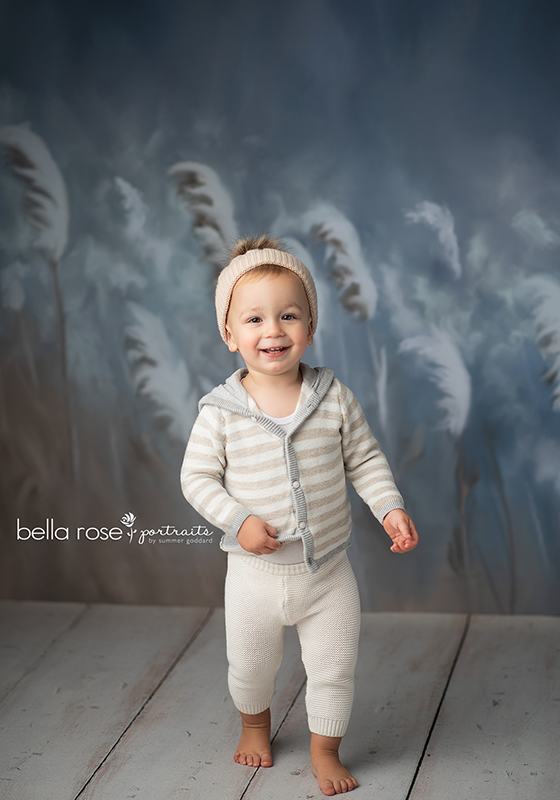 Frosty Winter Winds - HSD Photography Backdrops 