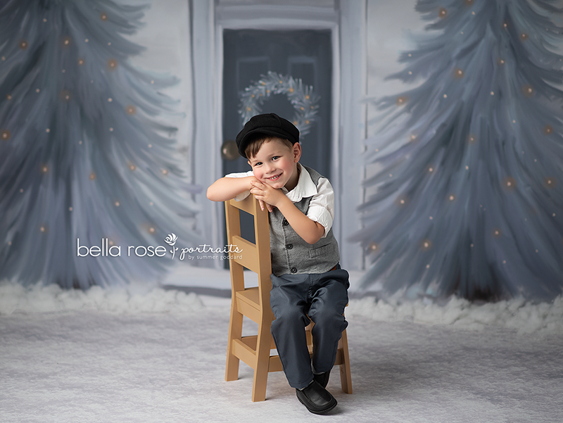 Winter | Christmas is Coming - HSD Photography Backdrops 