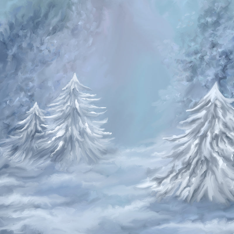 Winterland - HSD Photography Backdrops 