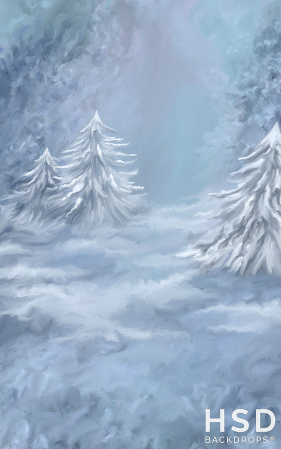 Winterland - HSD Photography Backdrops 