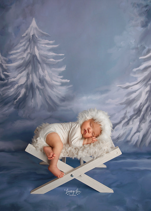 Winterland - HSD Photography Backdrops 