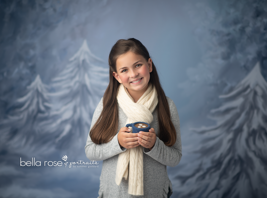 Winterland - HSD Photography Backdrops 