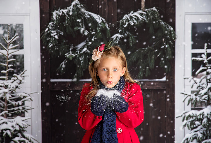 Christmas Barn Doors - HSD Photography Backdrops 