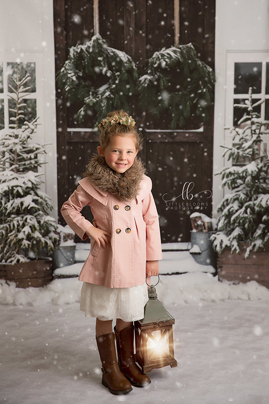 Christmas Barn Doors - HSD Photography Backdrops 
