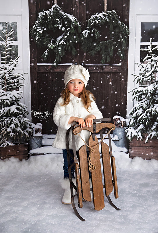 Christmas Barn Doors - HSD Photography Backdrops 