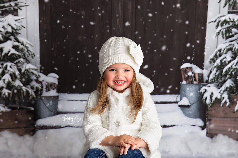 Christmas Barn Doors - HSD Photography Backdrops 