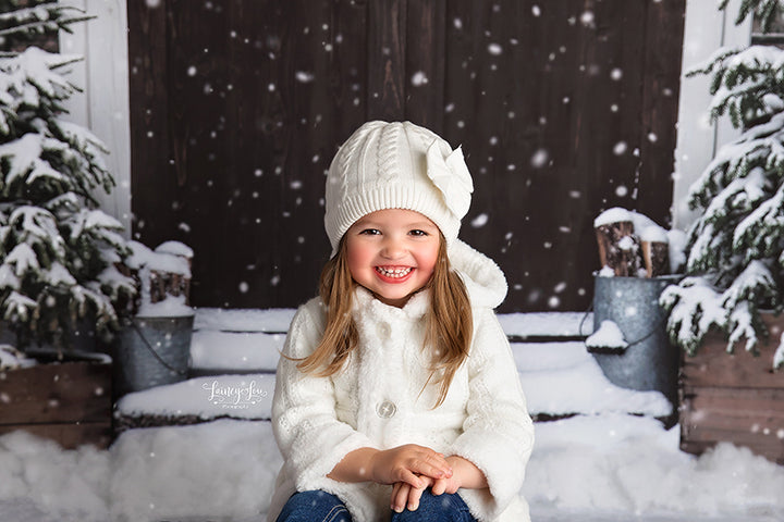 Christmas Barn Doors - HSD Photography Backdrops 