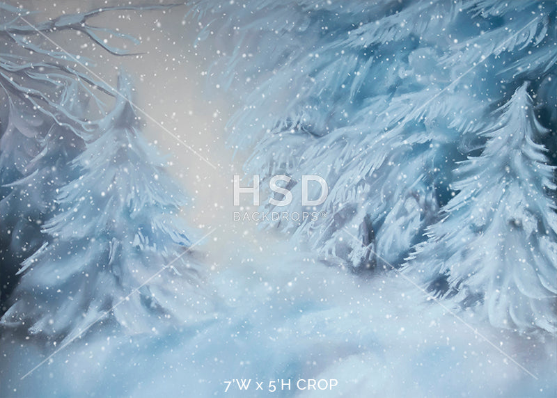 Winter Spruce - HSD Photography Backdrops 