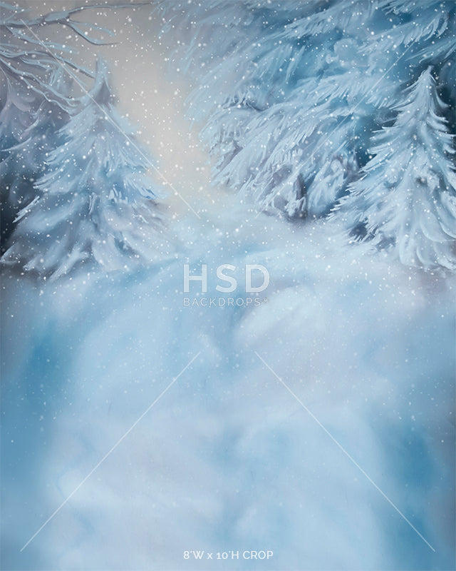 Winter Spruce - HSD Photography Backdrops 